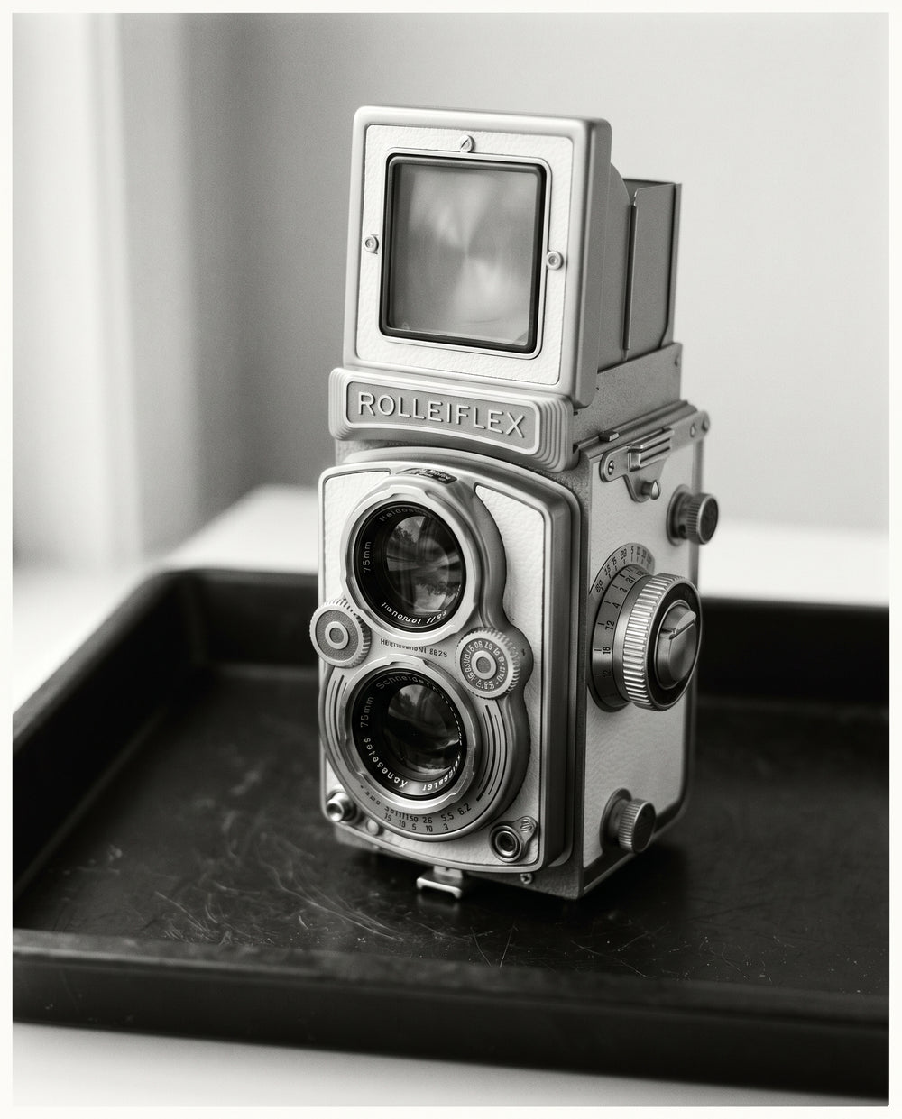 Zweiäugige Reflex · 6×6