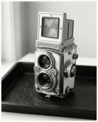 Zweiäugige Reflex · 6×6, Ansicht 1
