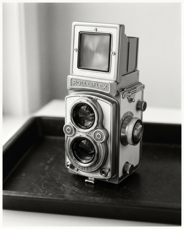 Zweiäugige Reflex · 6×6